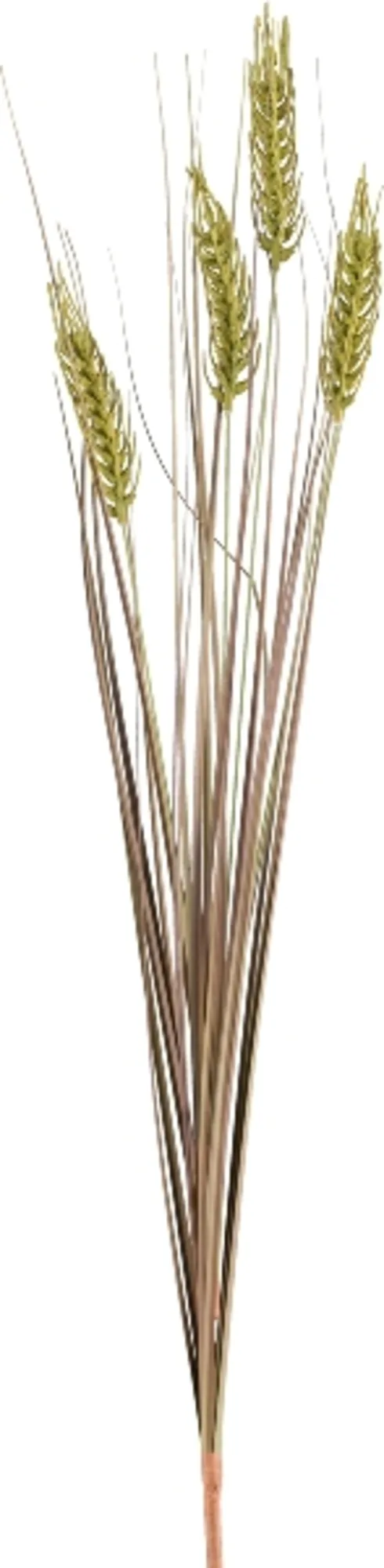 Gasper Kunstblume Weizen mit Gras, Moos H: 79 cm | Schubiger Möbel