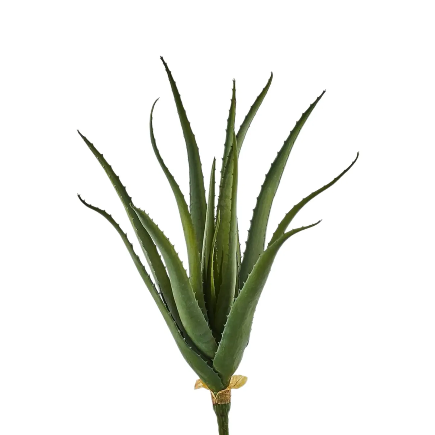 Edg Kunstpflanze Aloe H: 50 cm | Schubiger Möbel