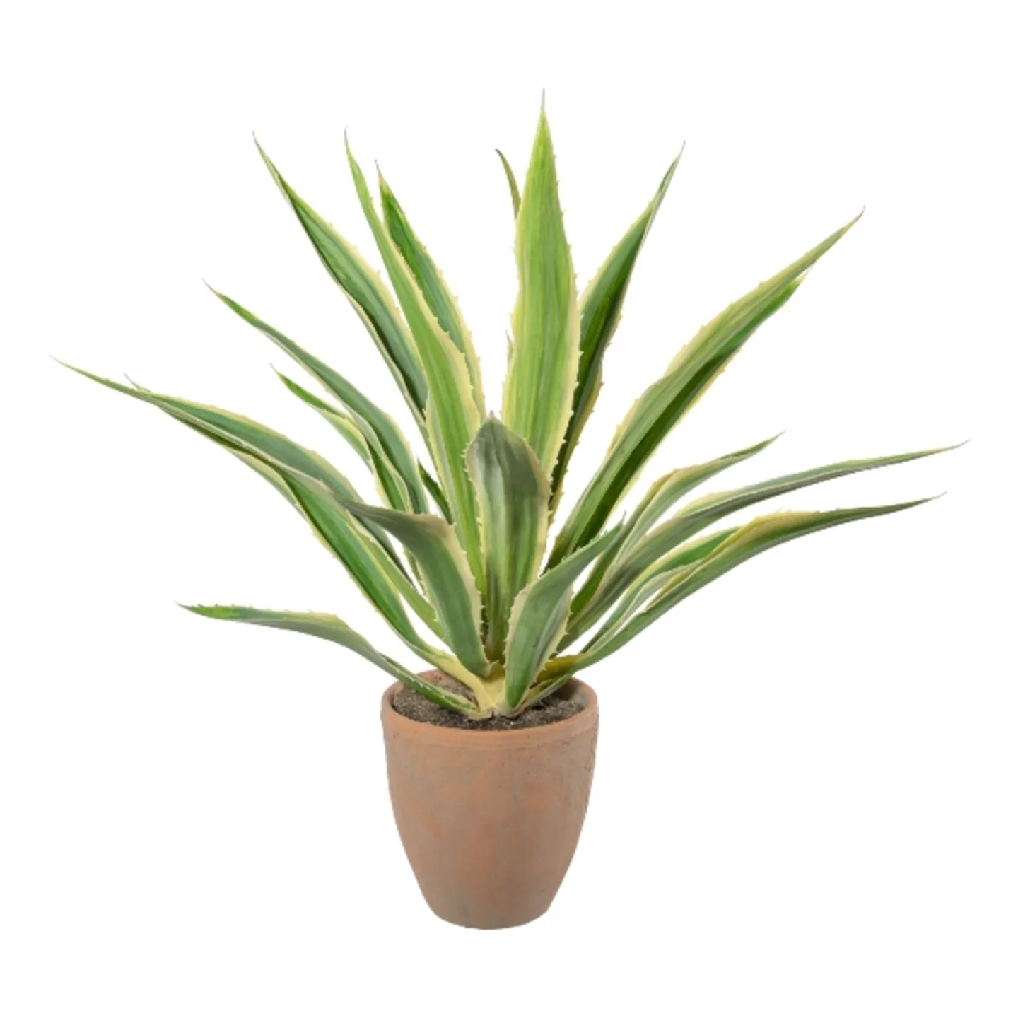 Gasper Kunstpflanze Agave im Terracottatopf, Grüncreme H: 85 cm | Schubiger Möbel