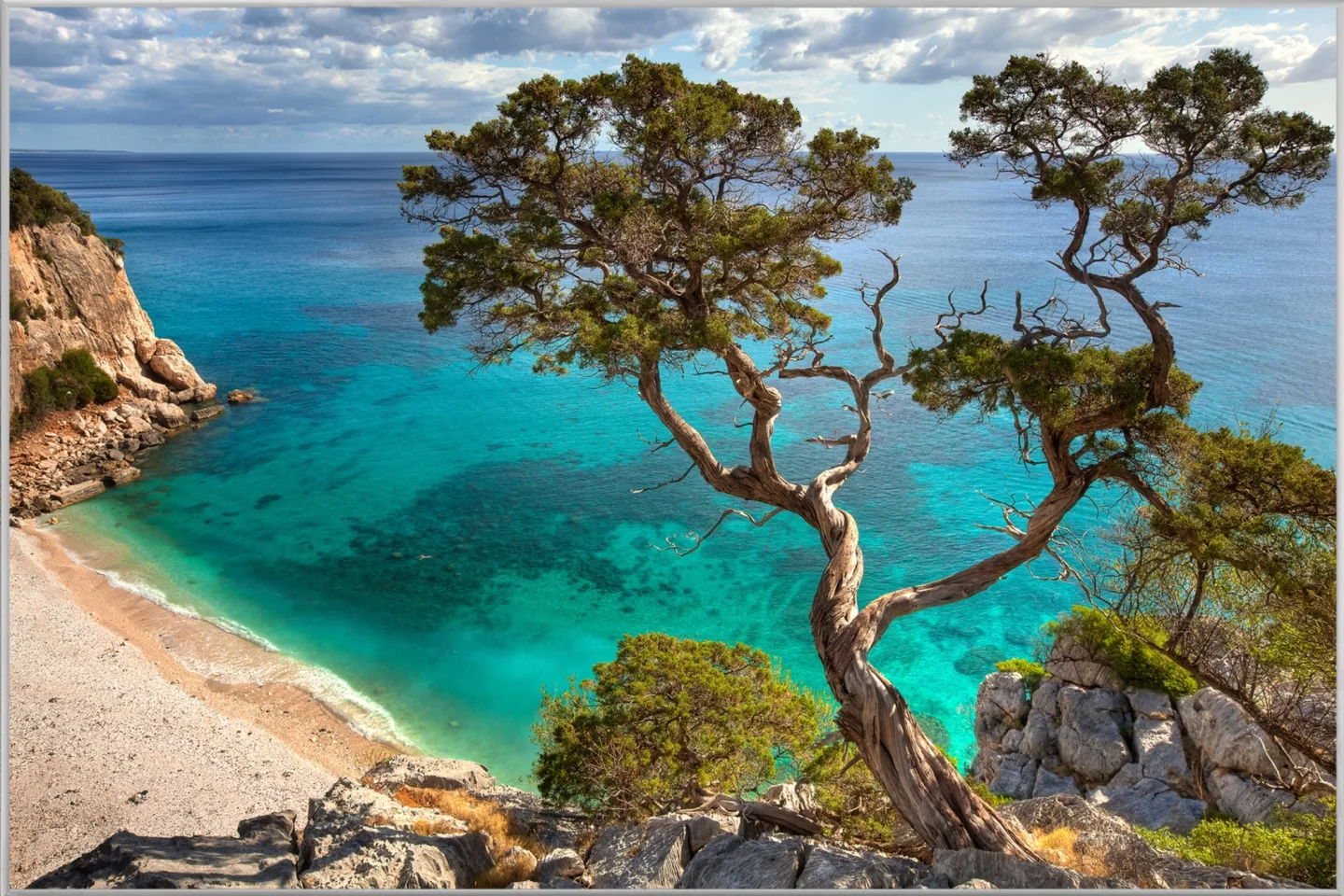 image LAND Bild mit Rahmen Steilküste mit Baum | Schubiger Möbel
