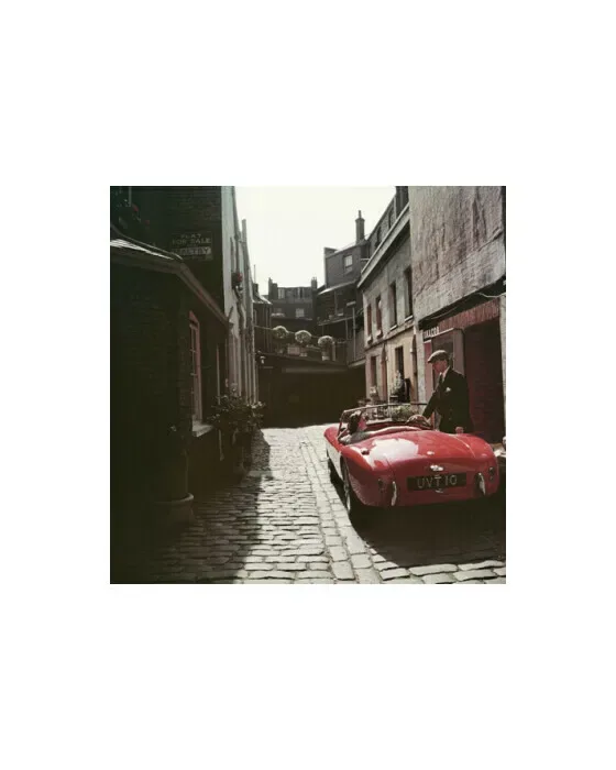 Sports Car Couple