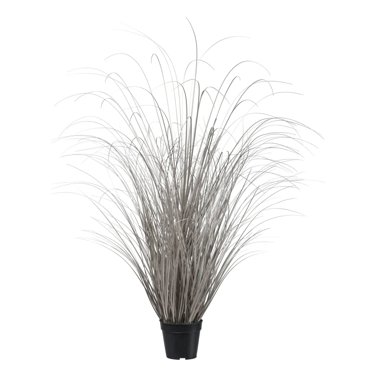 Gasper Kunstpflanzen Gras im Topf, Champagner H: 120 cm | Schubiger Möbel
