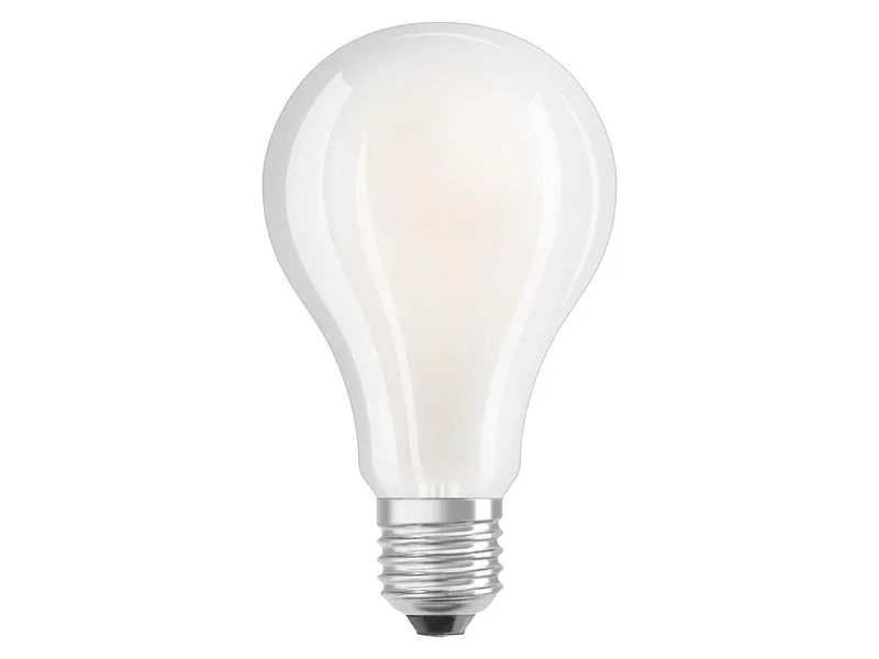 Glühbirne LED / Ledfilament E27 24W 3452 Lumen