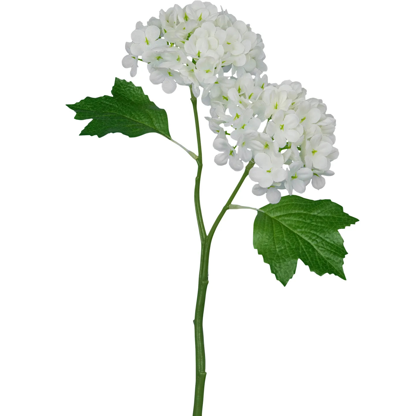 Gasper Kunstblume Schneeballzweig, Weiss | Schubiger Möbel