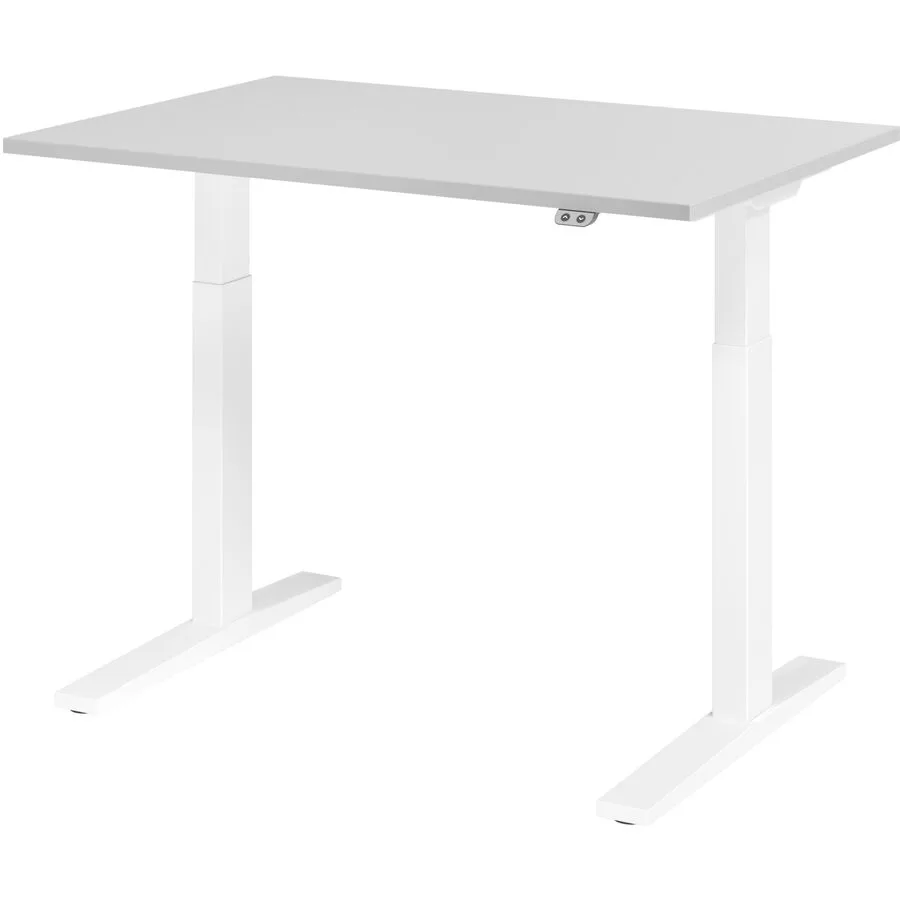 Schreibtisch Office grau Holzwerkstoff B 120 T 80 cm