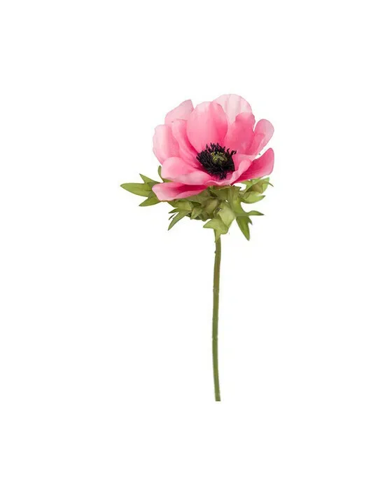 Anemone afskåret blomst lyserød