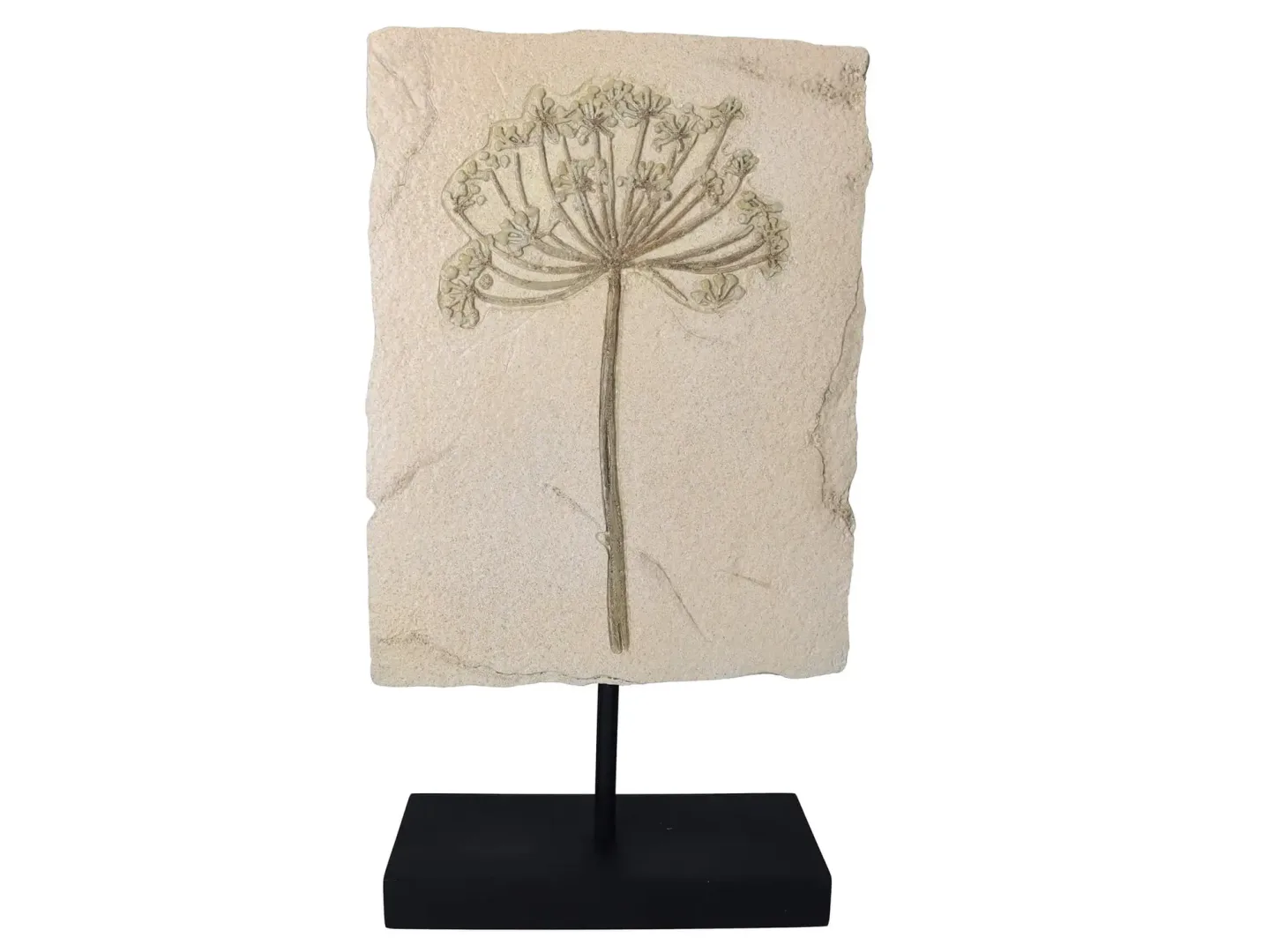 Kersten Skulptur Ornament Kerbel H: 47 cm | Schubiger Möbel