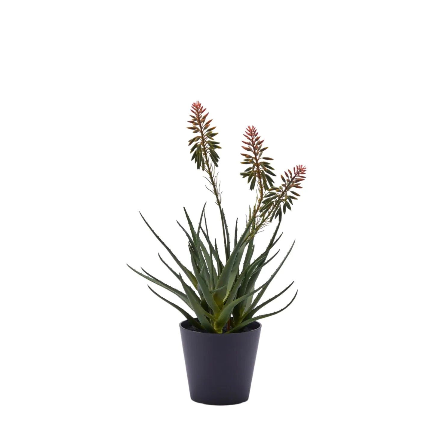 Edg Kunstpflanze Aloe mit Blumen H: 50 cm | Schubiger Möbel