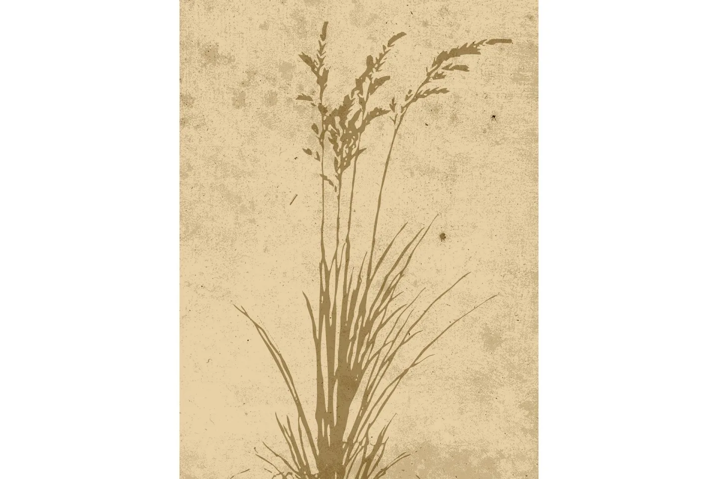 Poster Plant art 30x40 cm - Beige