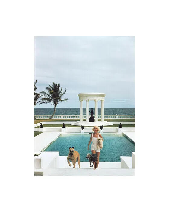 CZ's Dogs