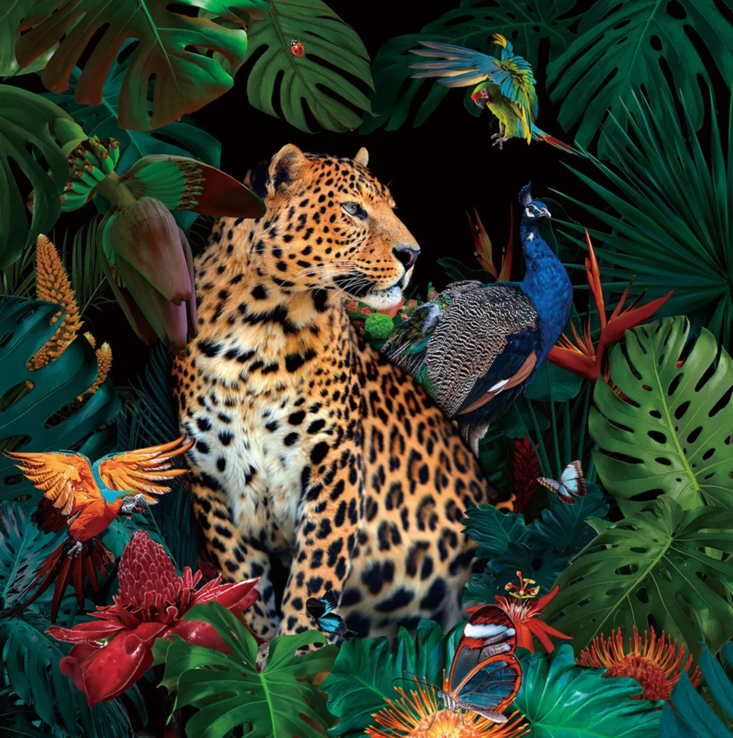 image LAND Glasbild Jaguar im Dschungel | Schubiger Möbel