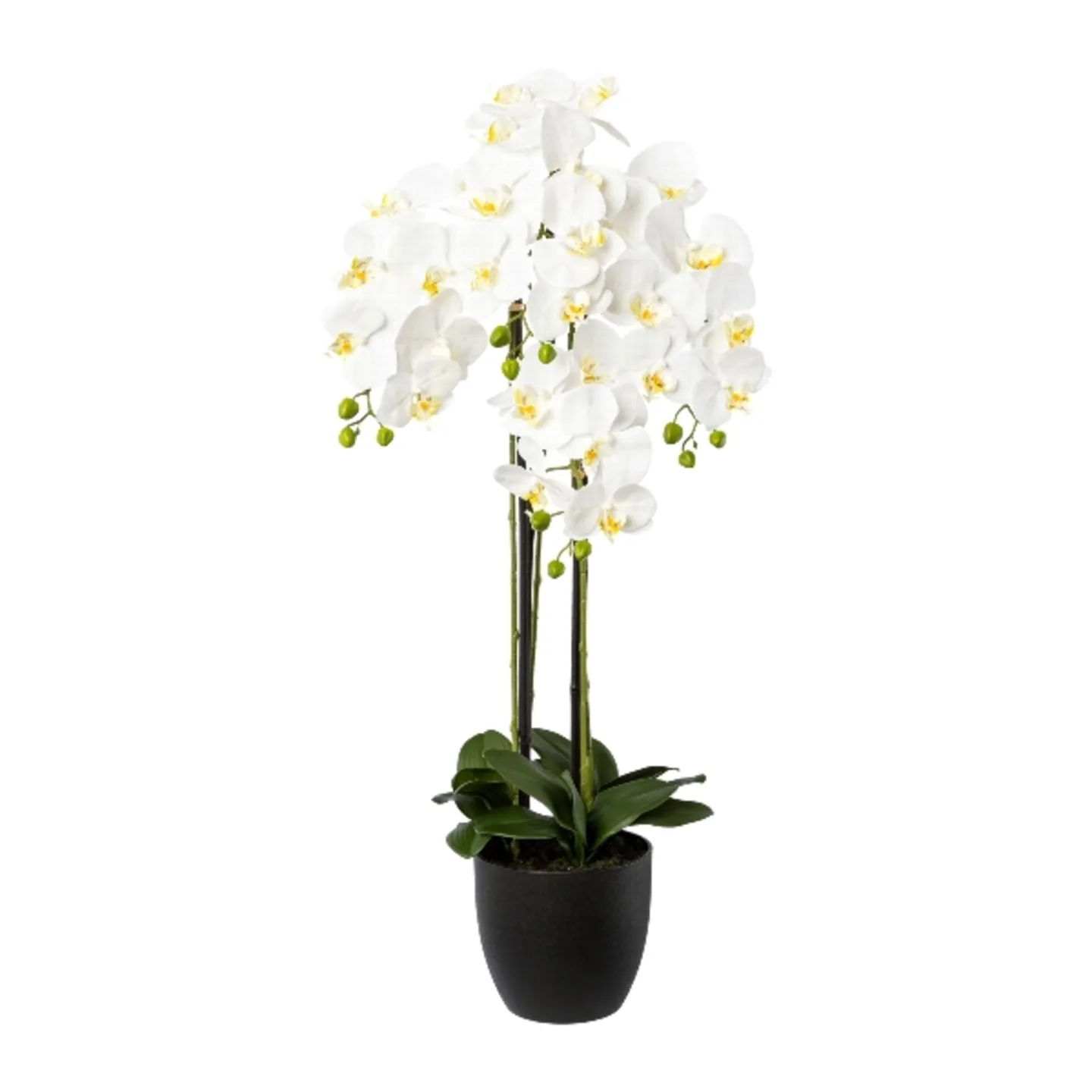 Gasper Kunstpflanze Orchidee im Resintopf,weiß H: 99 cm | Schubiger Möbel