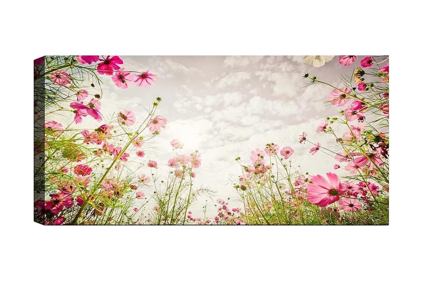 Canvastavla YTY Floral & Botanical Flerfärgad - 120x50 cm