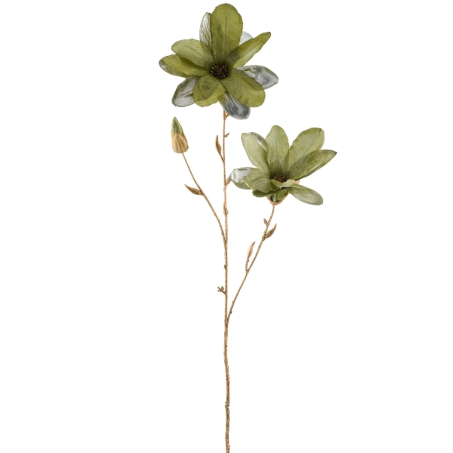Gasper Kunstblumen Magnolie, Grün | Schubiger Möbel