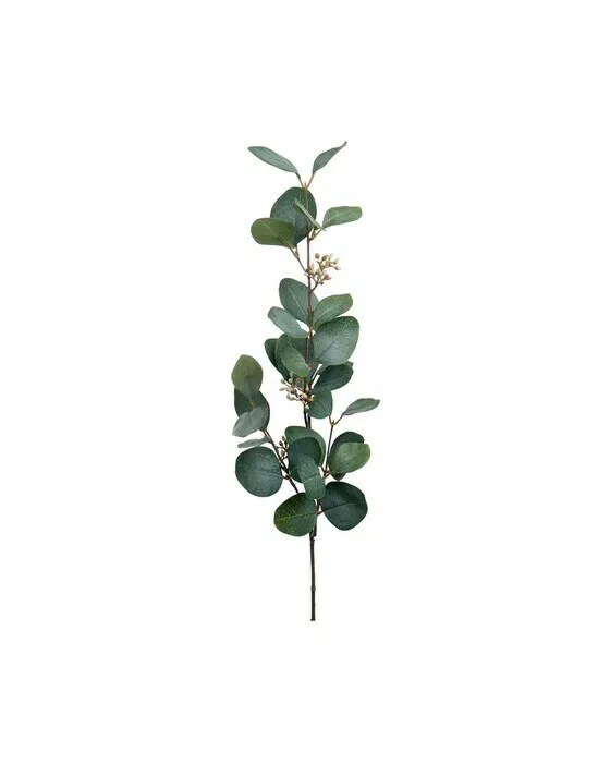 Eucalyptus snittblomma grön