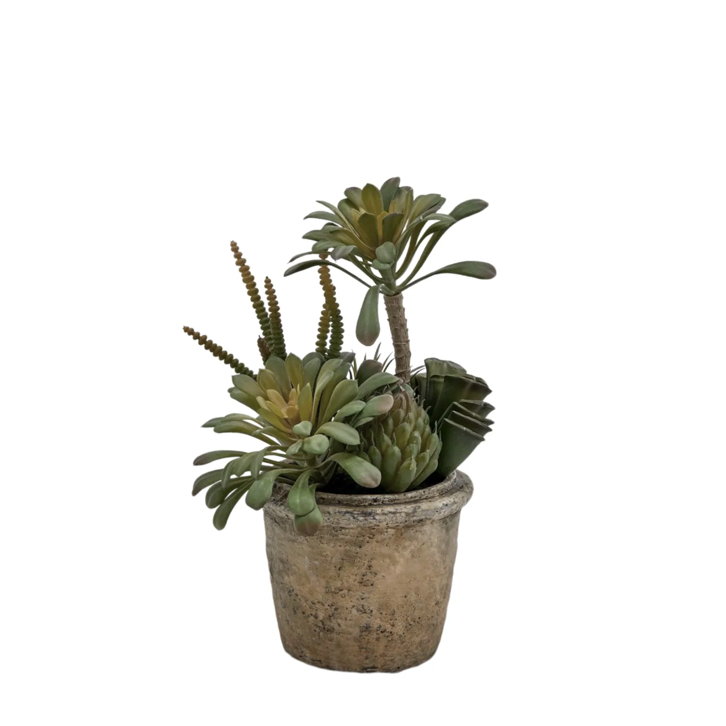 Edg Kunstpflanze Succulenten Mix H: 25 cm | Schubiger Möbel
