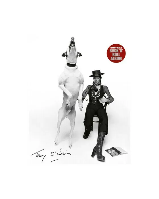Terry O'Neill's Rock 'n' Roll Album
