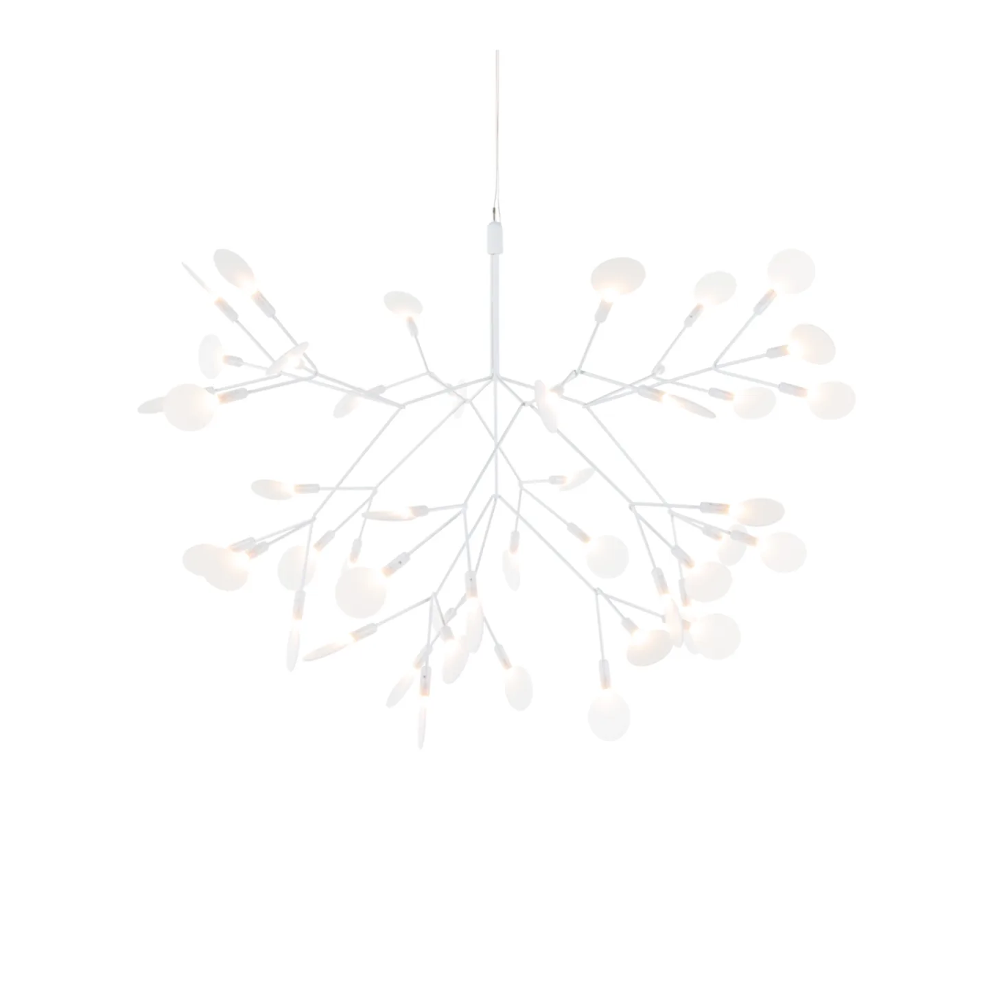 Moooi - Heracleum III, Suspended Small White - Takkronor - Bertjan Pot - Vit