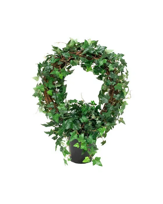 Ivy Potted Plant Green