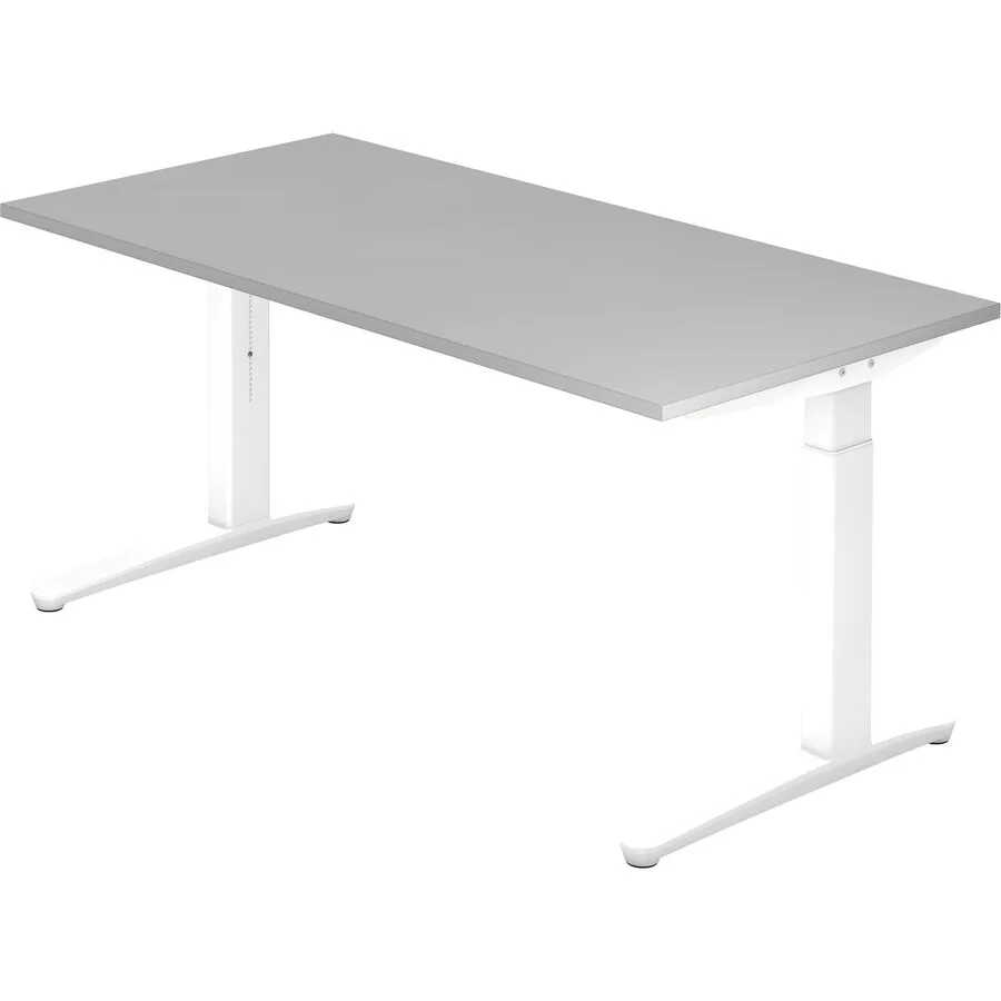 Schreibtisch Office grau Holzwerkstoff B 160 T 80 cm