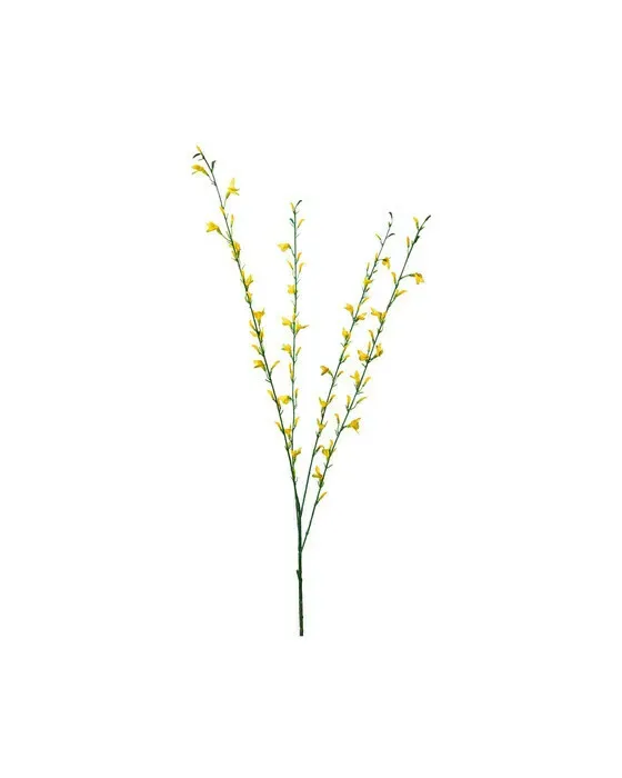 Gyvel – afskåret blomst i gul