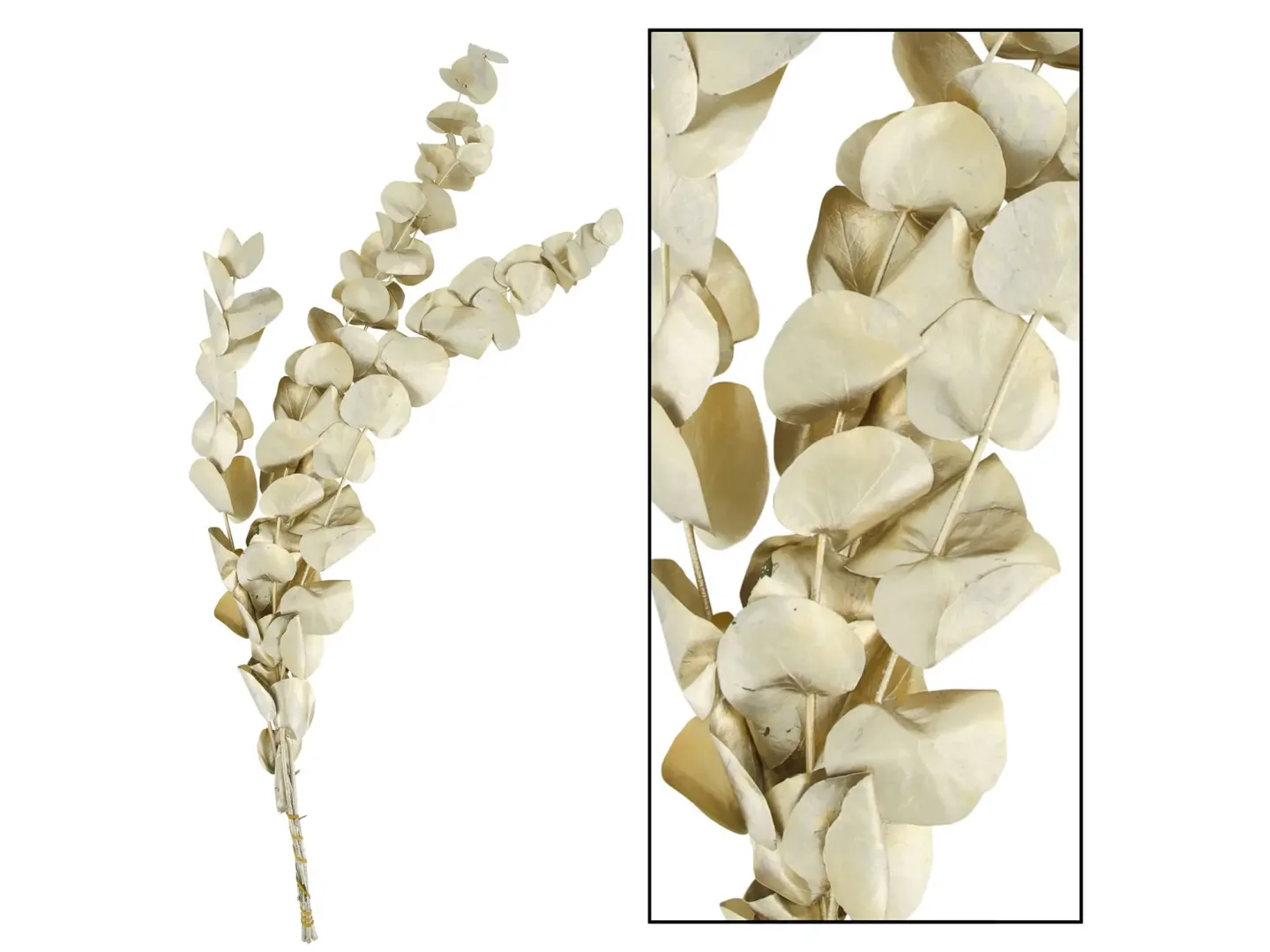Decofinder Kunstpflanze Eukalyptus Gold H: 50 cm | Schubiger Möbel