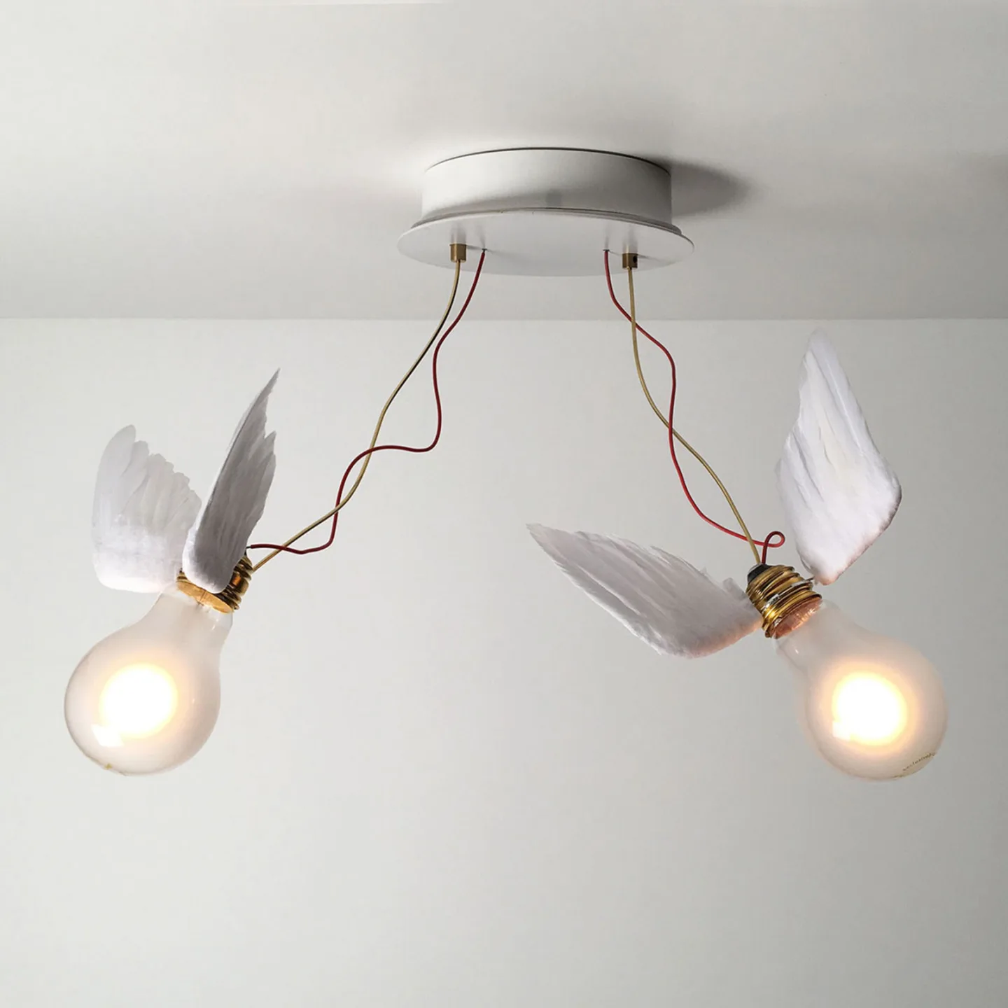 Lucellino Doppio Wandleuchte - Ingo Maurer - Wohnzimmer - Design - Rund