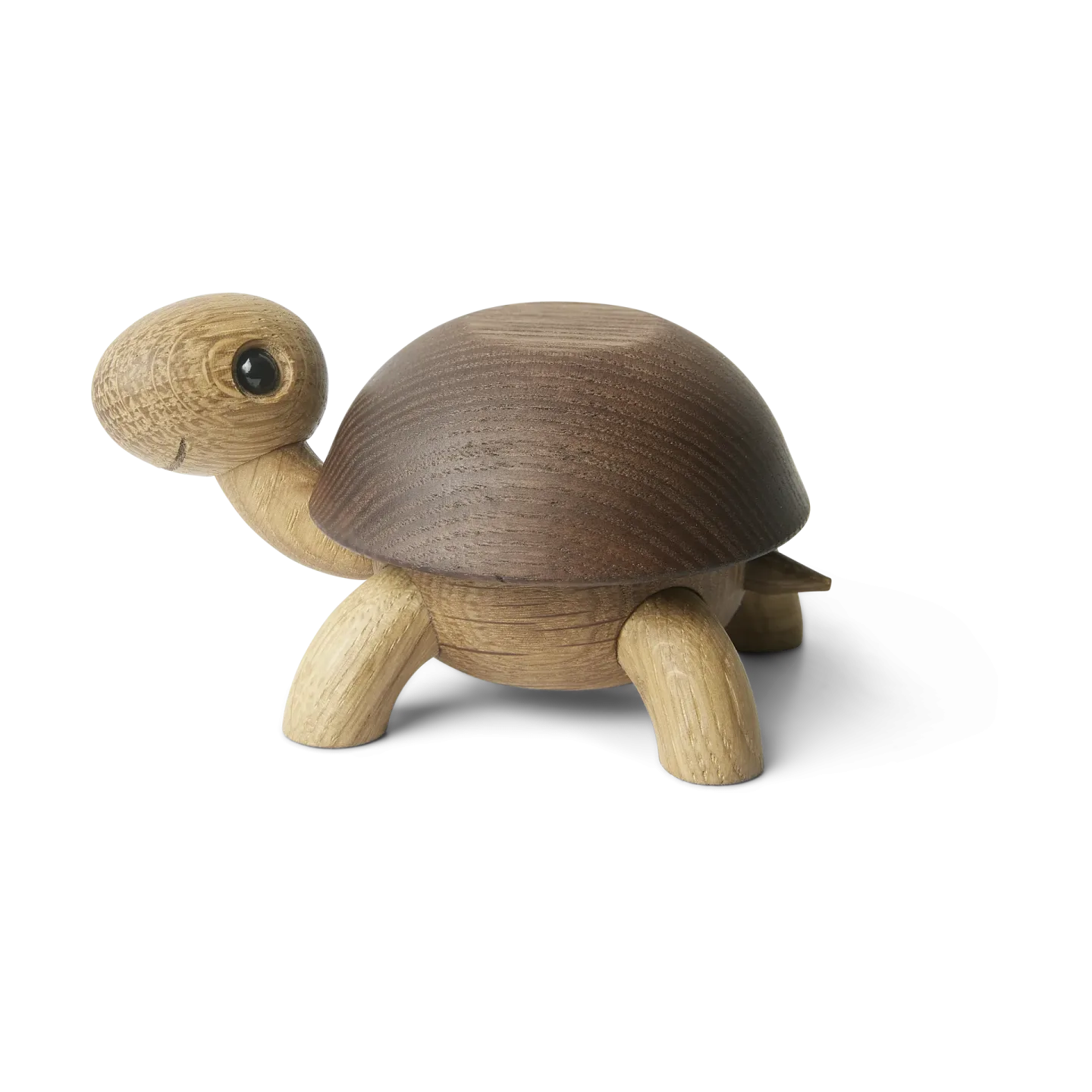 Spring Copenhagen Speedy Schildkröte Dekoration 4 cm Eichenbox