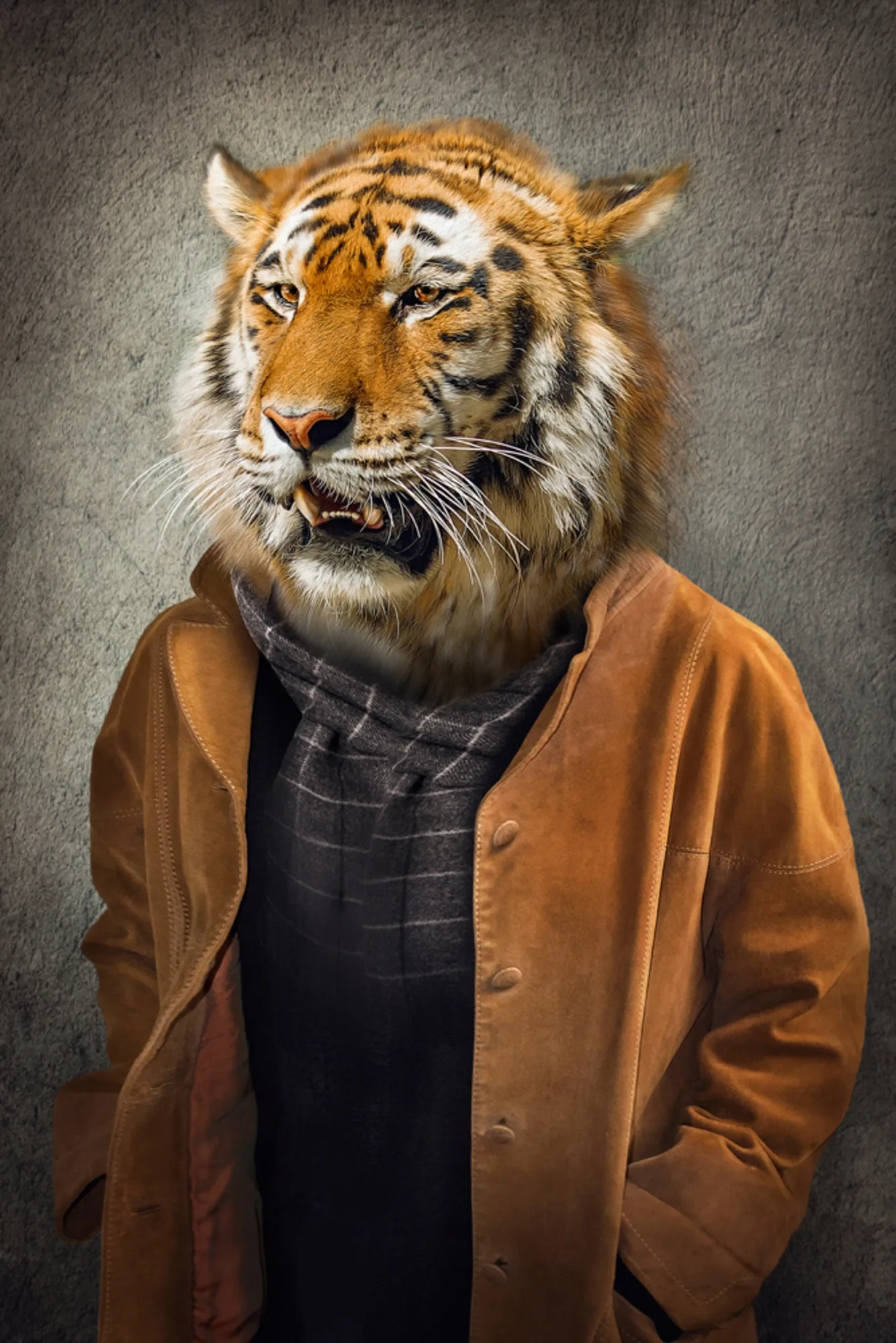 image LAND Alubild Tiger im Mantel | Schubiger Möbel