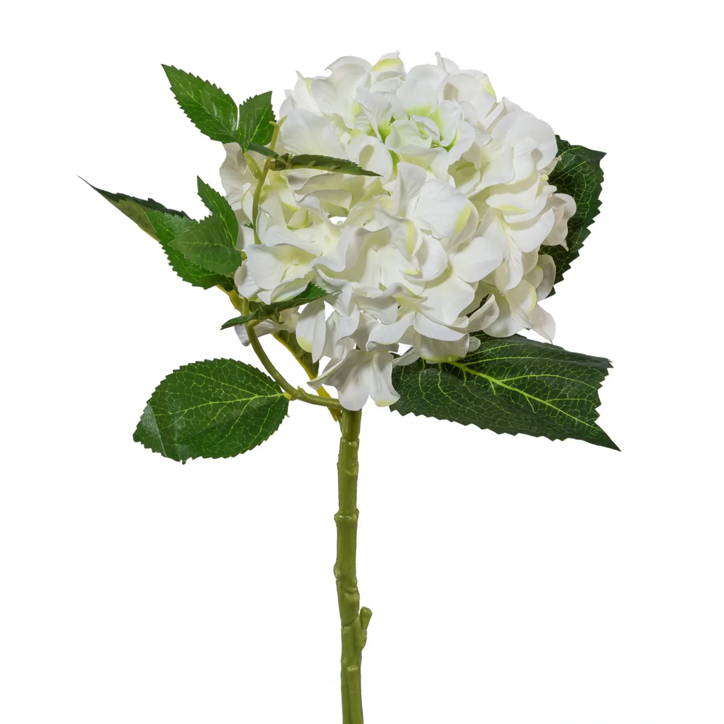 Gasper Kunstblume Hortensie, Weiss | Schubiger Möbel