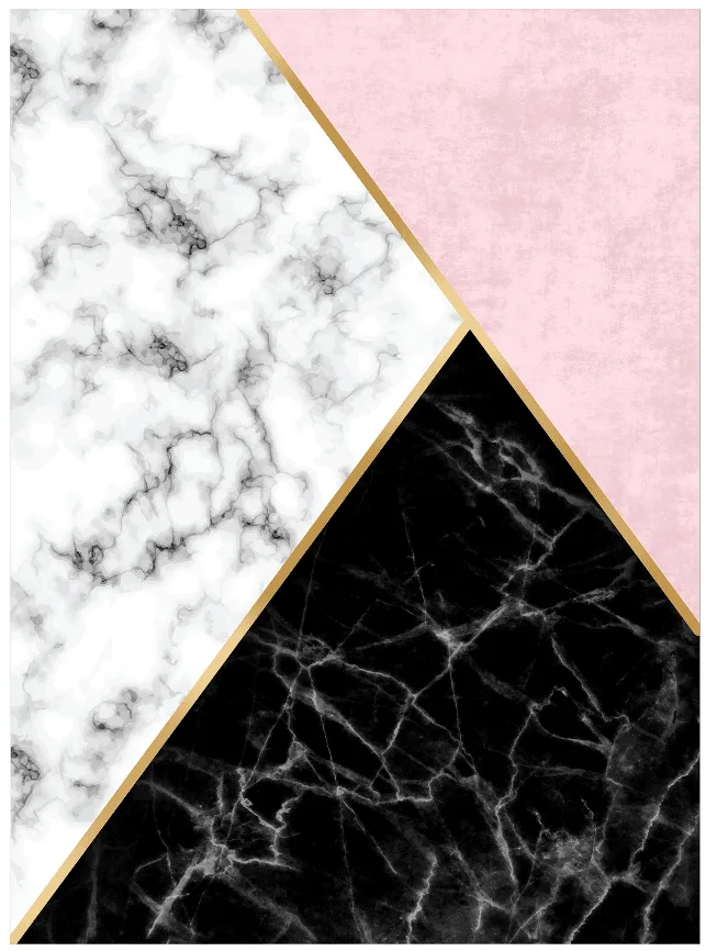 Wilton-teppe - Savino (svart/hvit/rosa) (Størrelse: 160 x 230 cm)