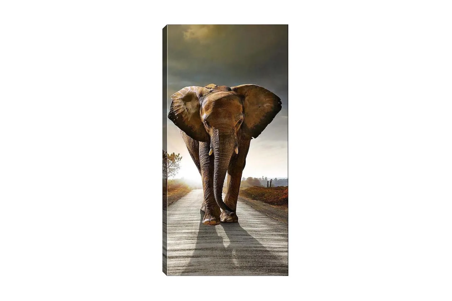 Canvastavla DKY Animals Flerfärgad - 50x120 cm