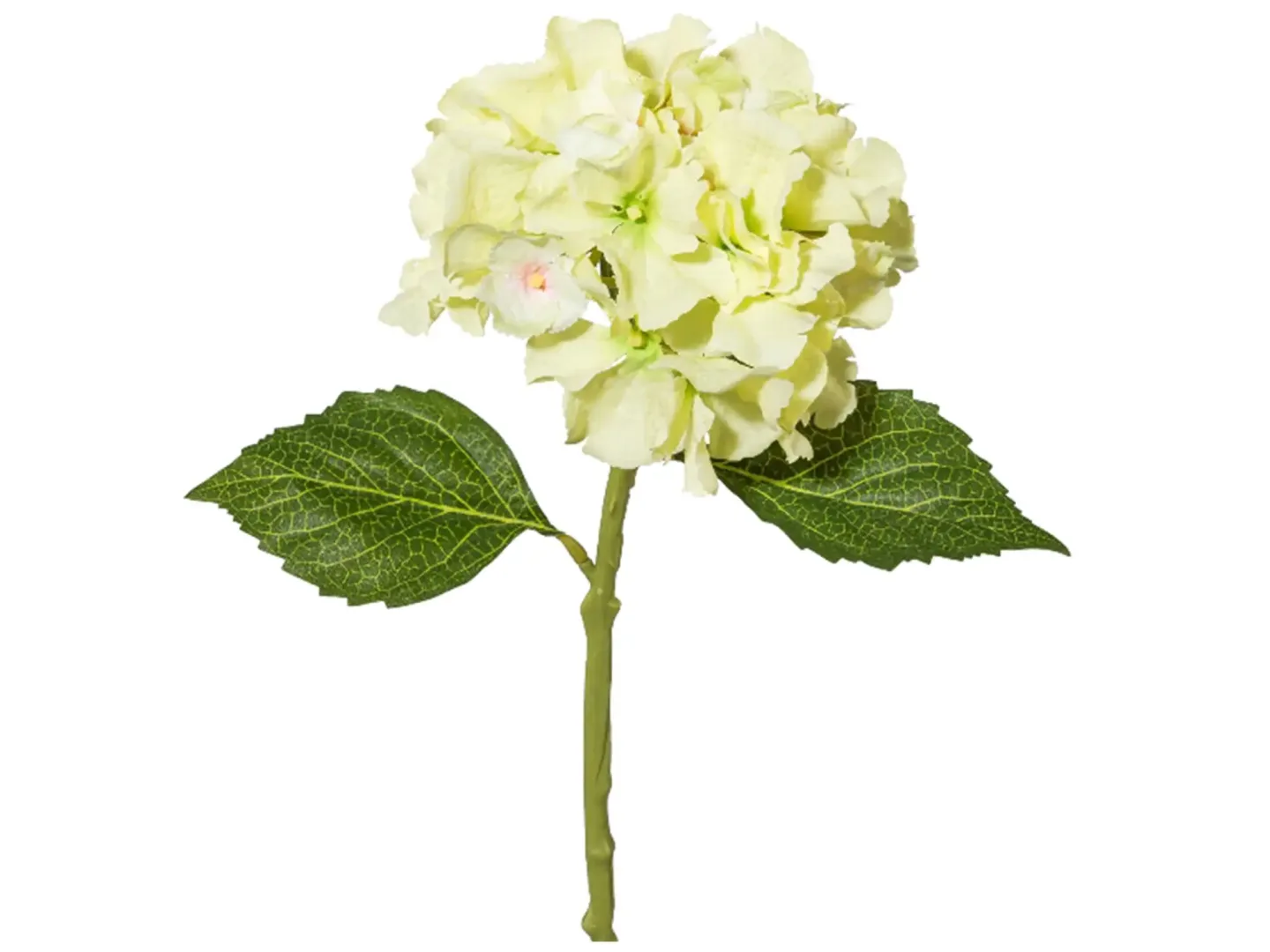 Gasper Kunstblume Minihortensie Grün H: 33 cm | Schubiger Möbel