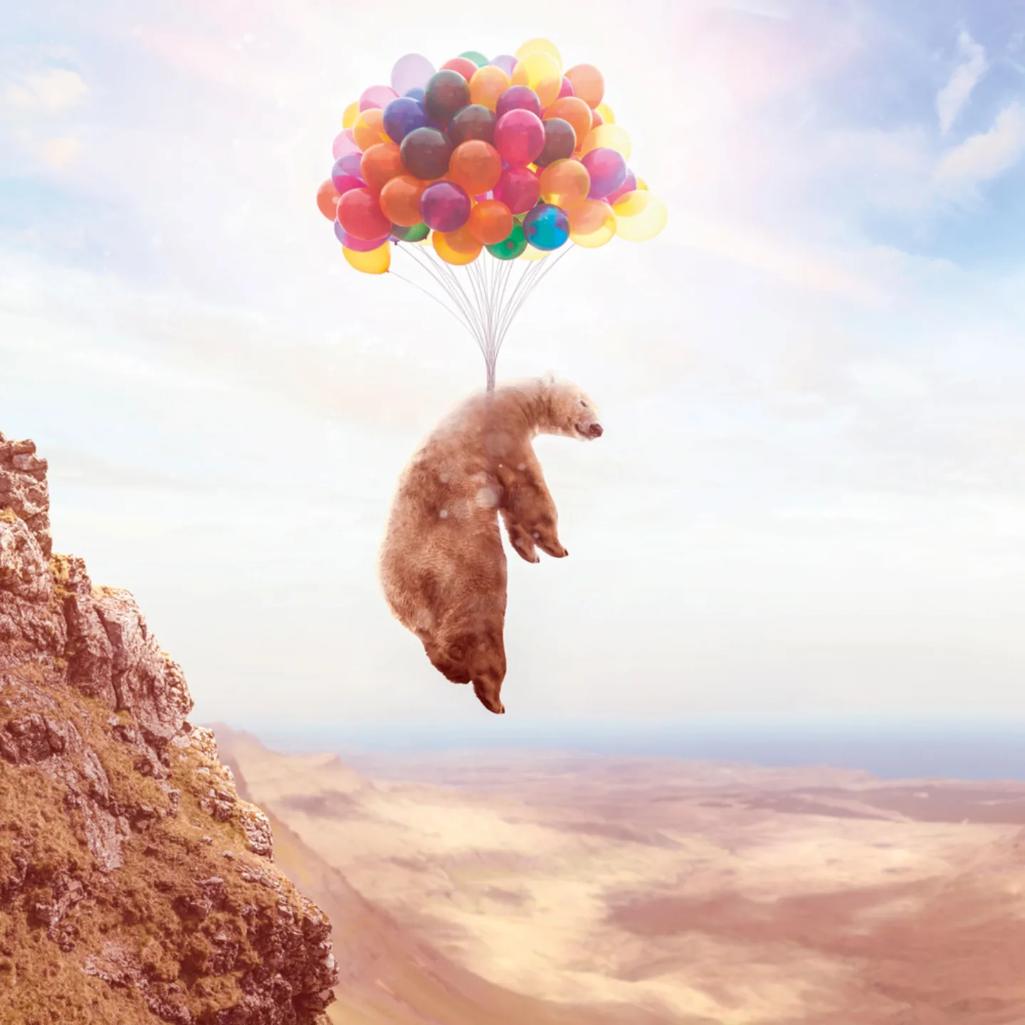 image LAND Alubild Fliegender Bär an Luftballons | Schubiger Möbel