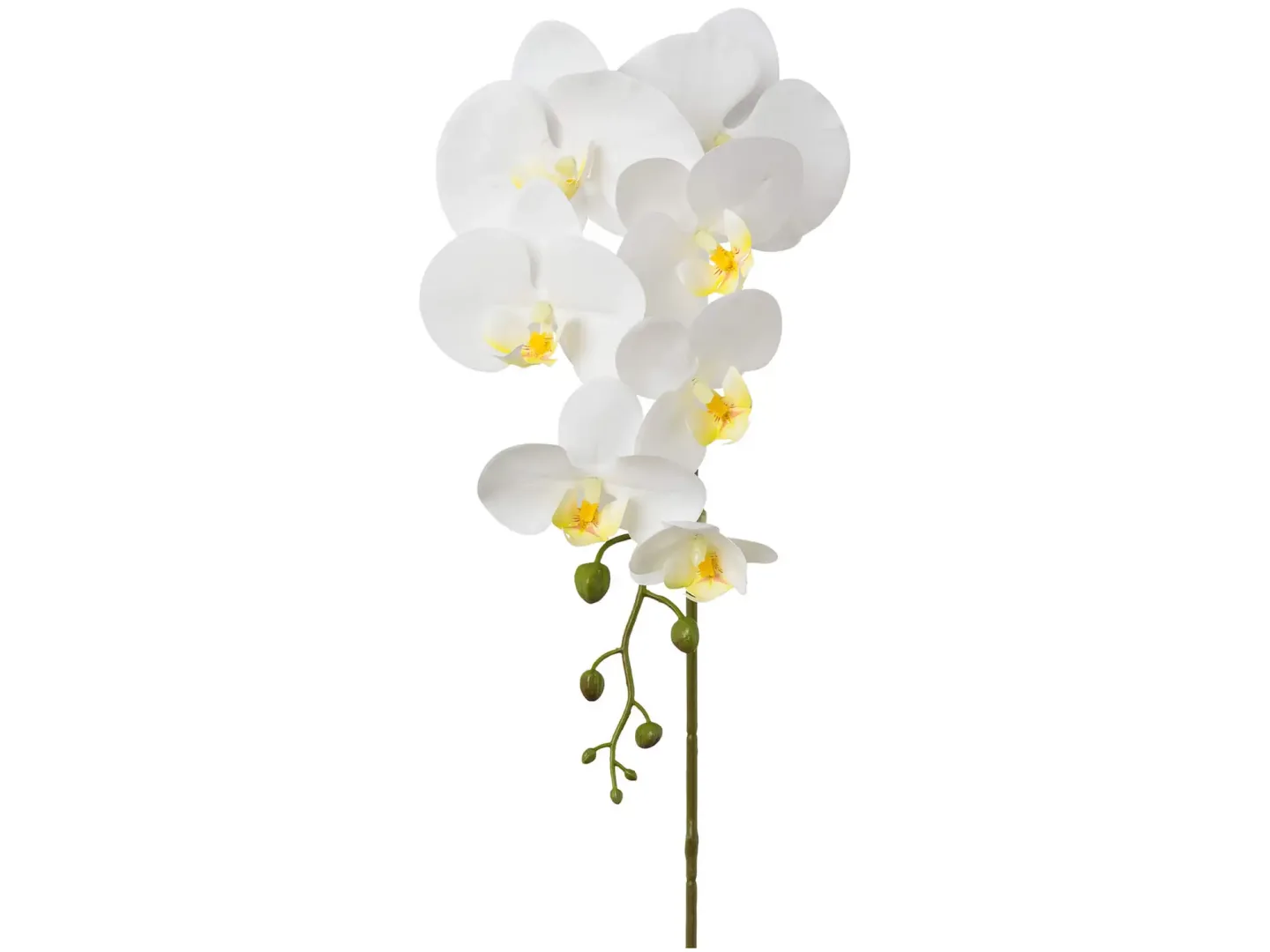 Gasper Kunstblume Orchideenzweig | Schubiger Möbel