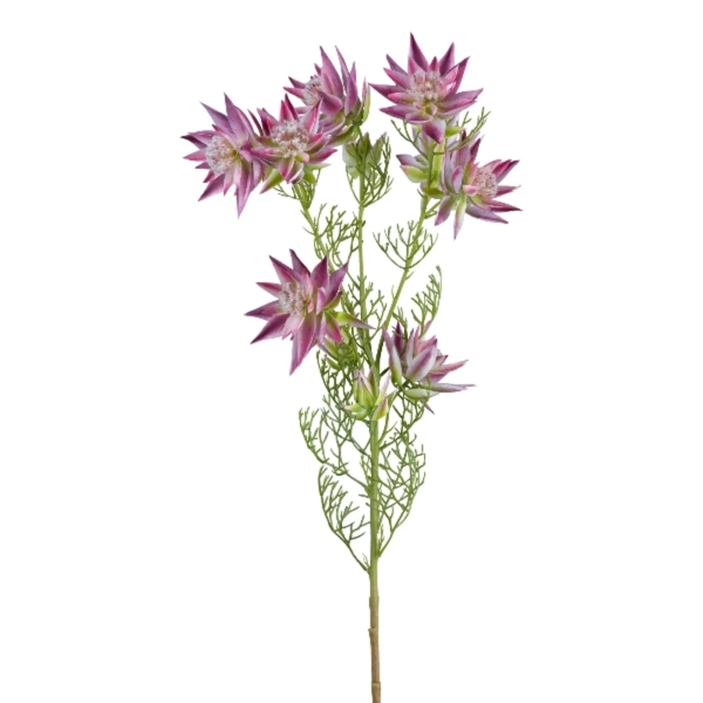 Gasper Kunstblume Proteazweig, Pink H: 78 cm | Schubiger Möbel