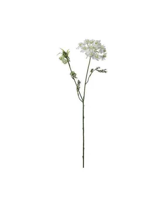Blomsterkörvel vit