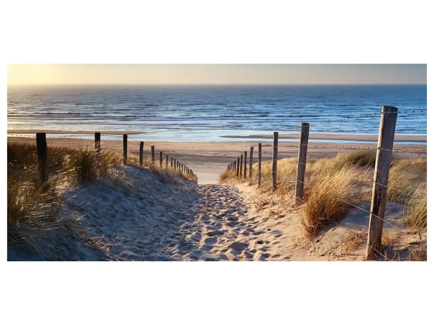 image LAND Digitaldruck auf Glas Sandweg Zum Meer 2 | Schubiger Möbel