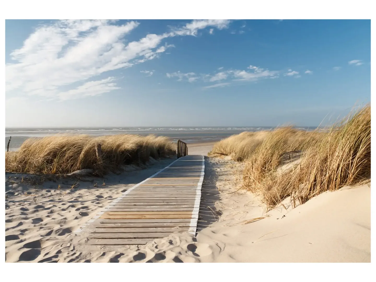 image LAND Digitaldruck auf Glas Holzweg Zum Meer 1 | Schubiger Möbel