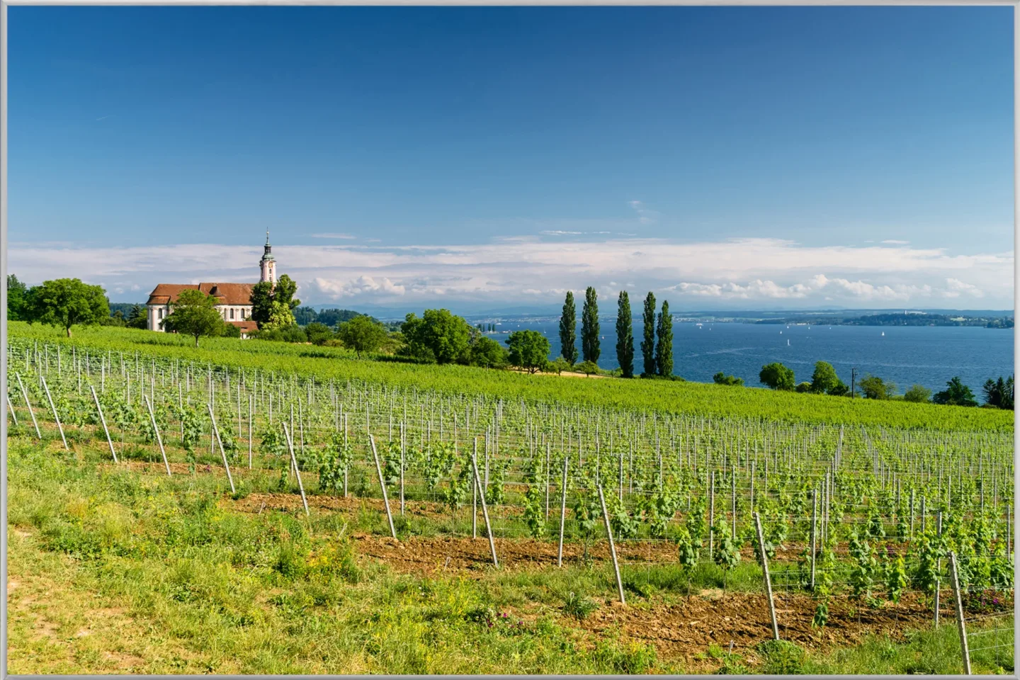 image LAND Bild mit Rahmen Landschaft in Der Toskana | Schubiger Möbel