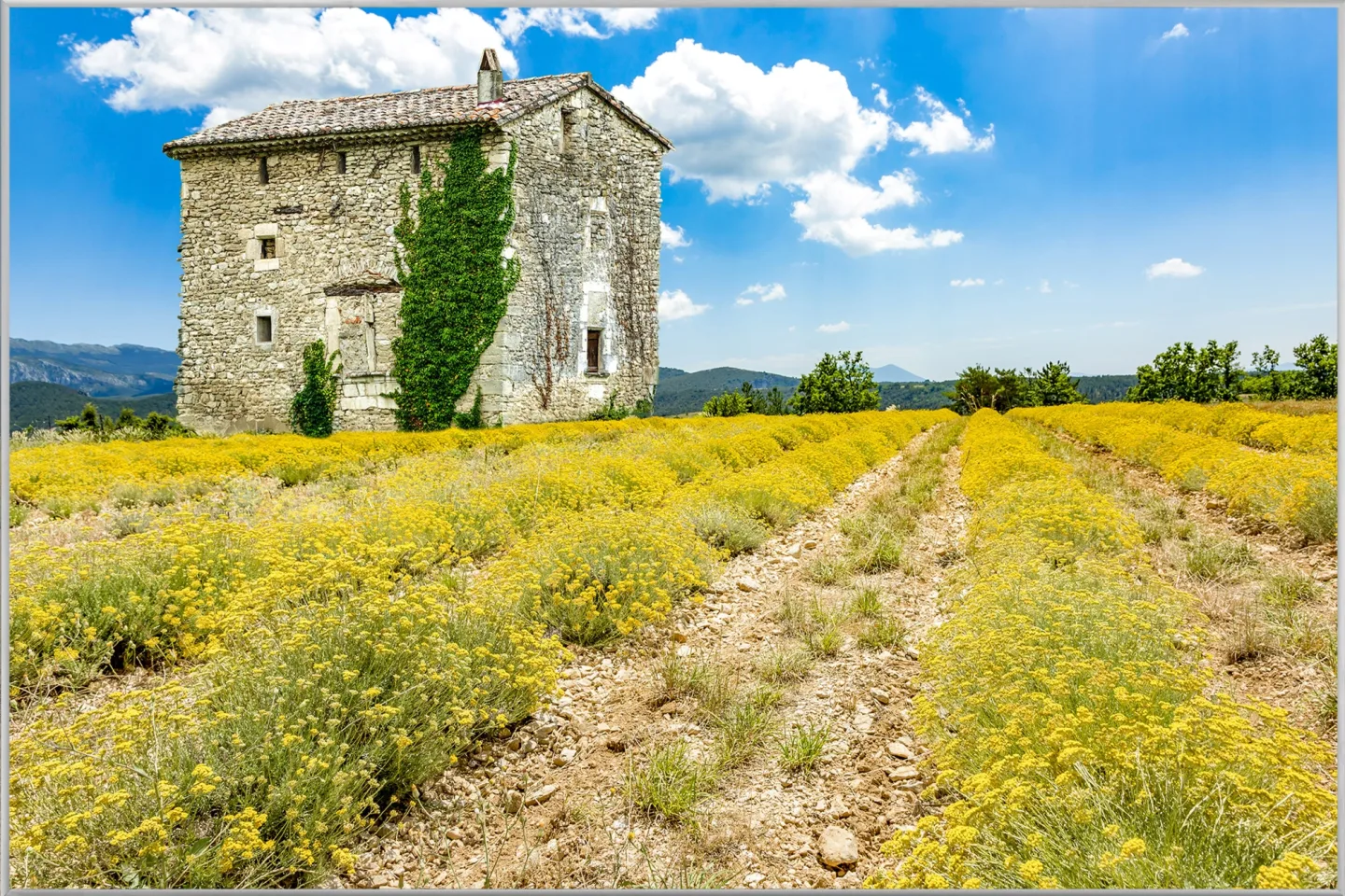image LAND Bild mit Rahmen Bauernhaus in Der Toskana | Schubiger Möbel