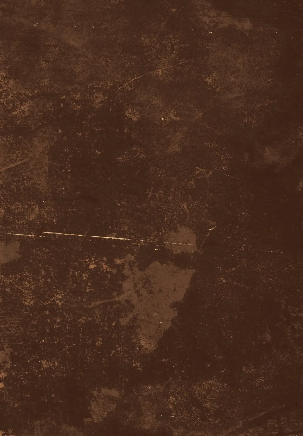 Wilton-teppe - Zahora (brun) (Størrelse: 200 x 280 cm)