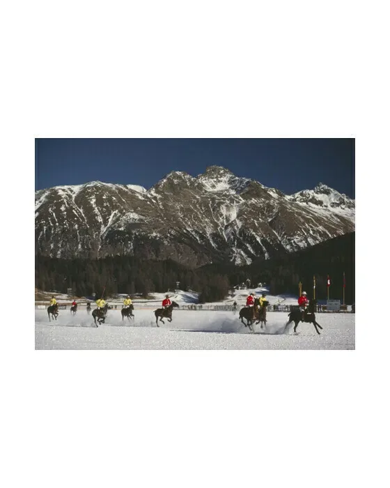 Polo World Cup
