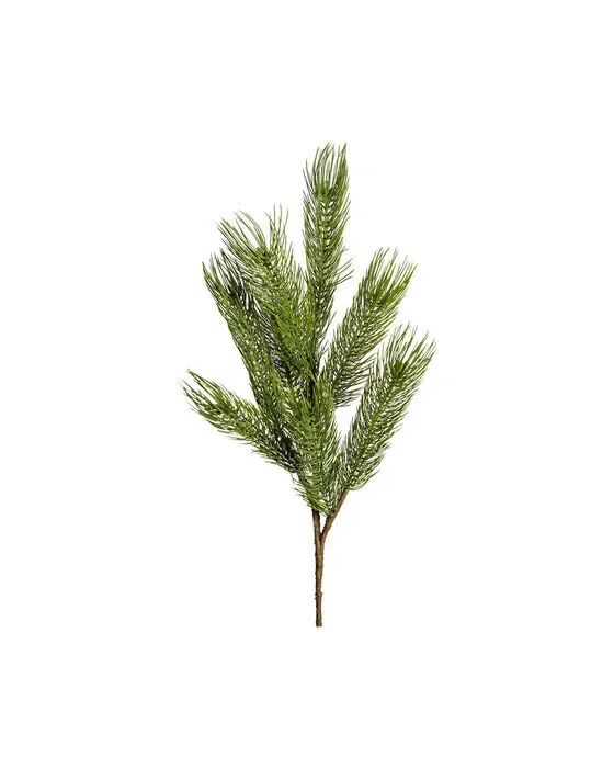Forest fyrrekvist grøn