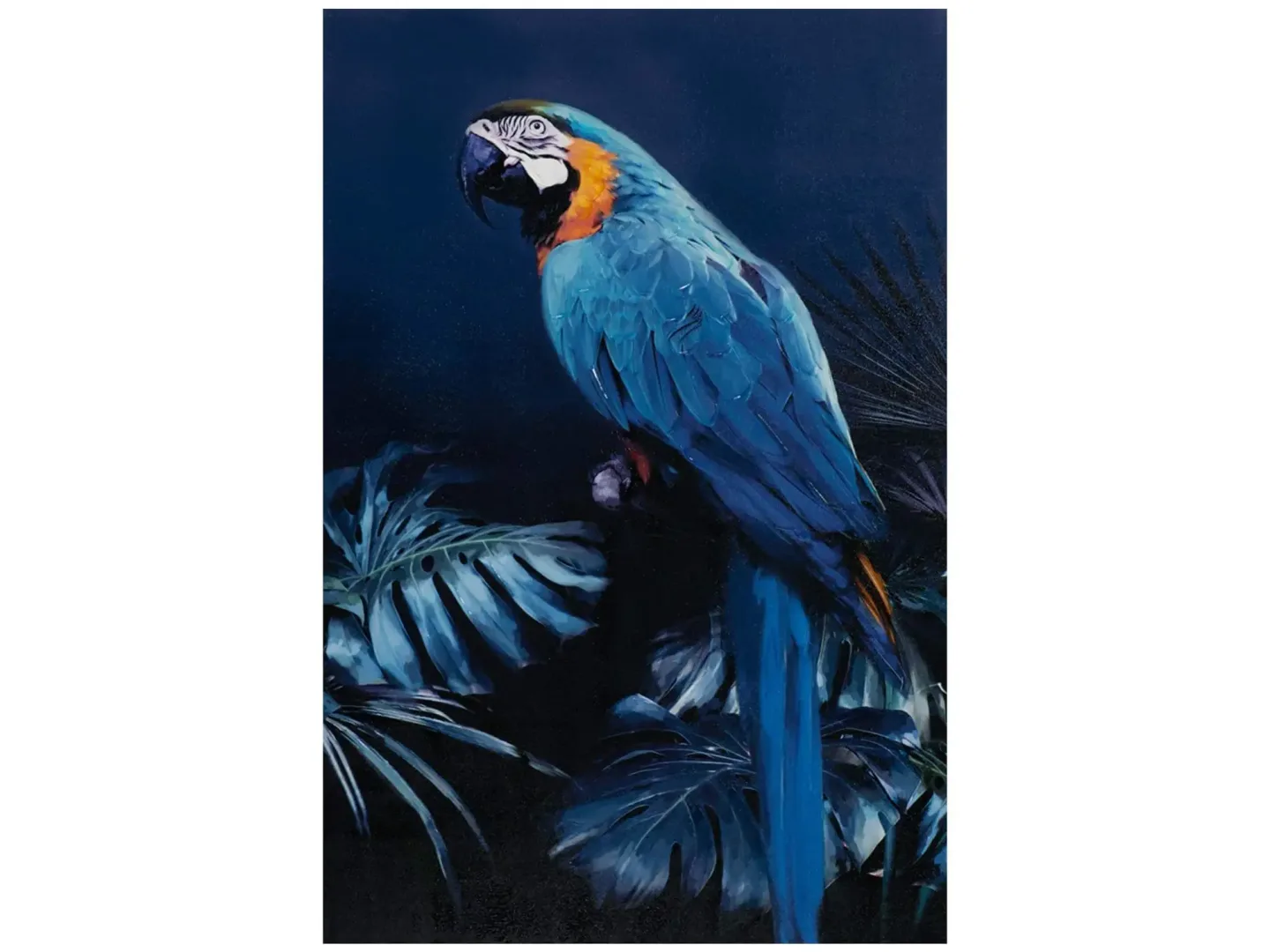 image LAND Gemälde Papagei in Blau Blau | Schubiger Möbel