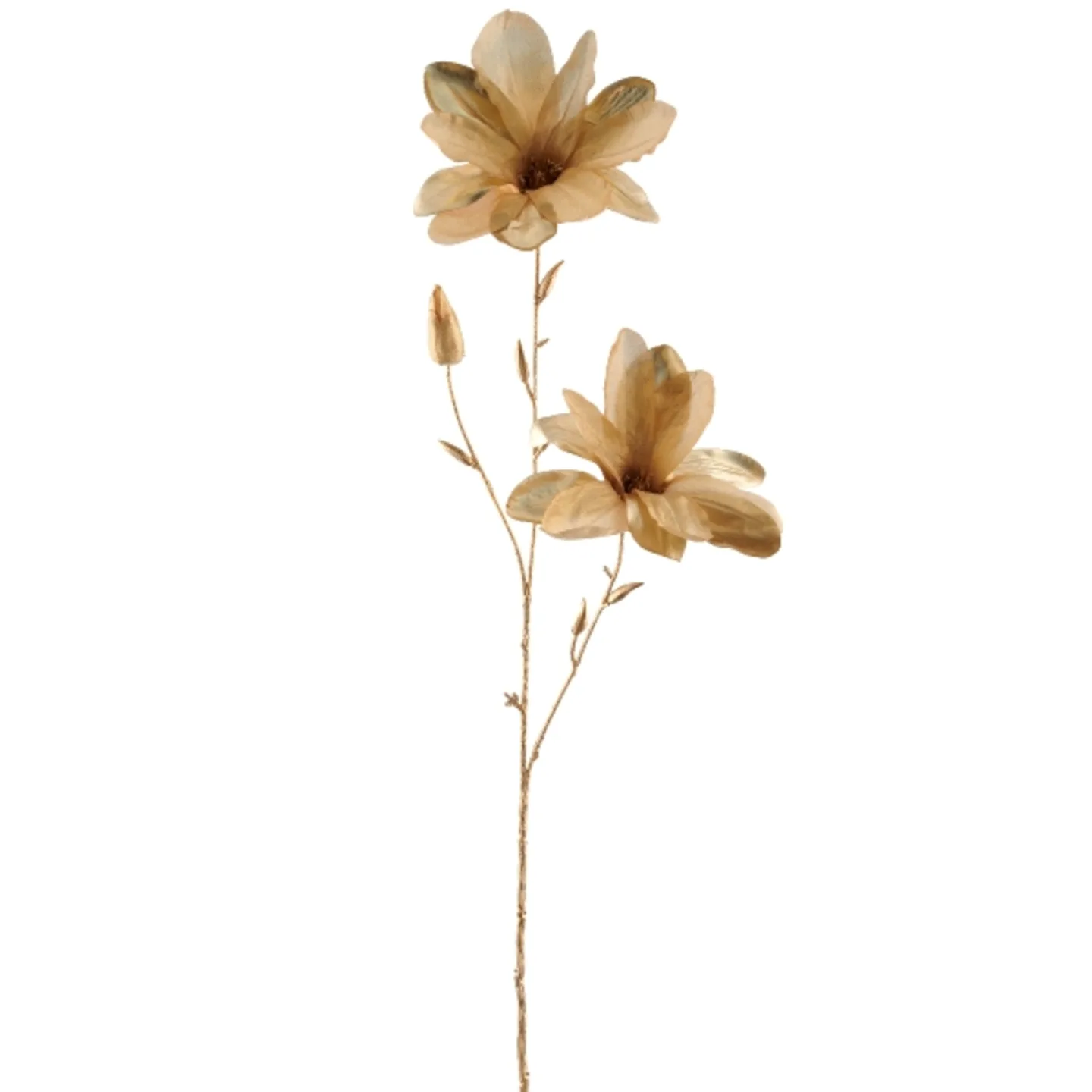 Gasper Kunstblumen Magnolie, Gold | Schubiger Möbel