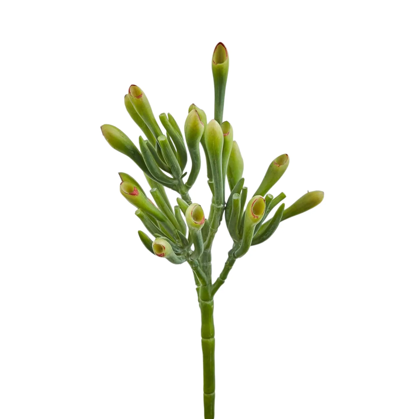 Edg Kunstblume Trompetenpflanze H: 24 cm | Schubiger Möbel