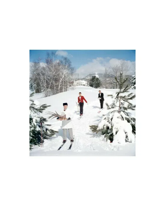 Skiing Waiters