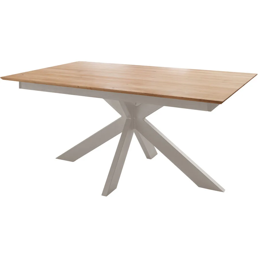 Tisch Brescia perlweiss Wildeiche massiv geölt Massivholz B 100 T 200 cm