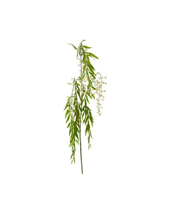 Berry Branch White